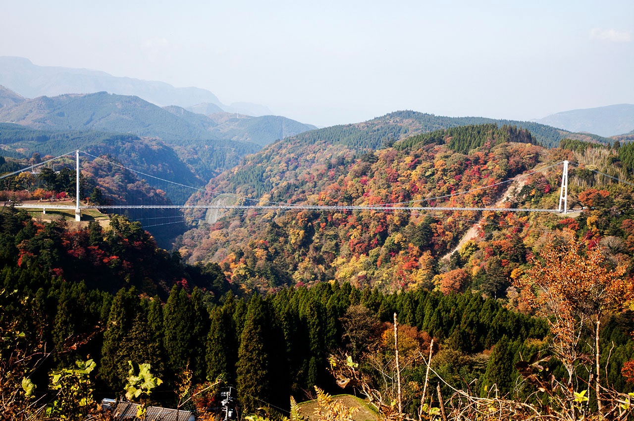九重夢大吊橋 春季新綠萌發嫩綠清新溪谷景致