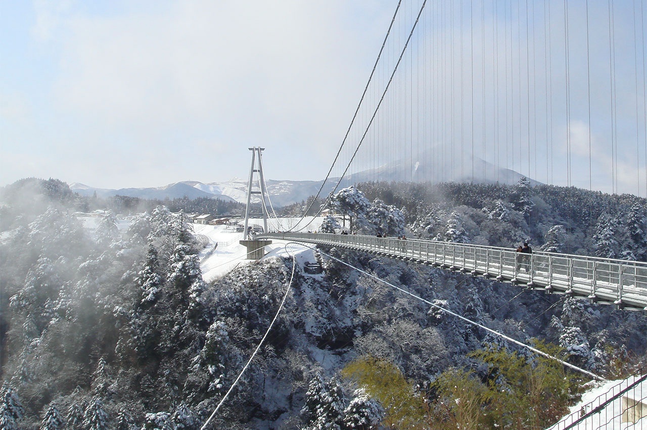 九重夢大吊橋 秋季楓紅賞楓高峰滿山紅黃交織打卡熱點