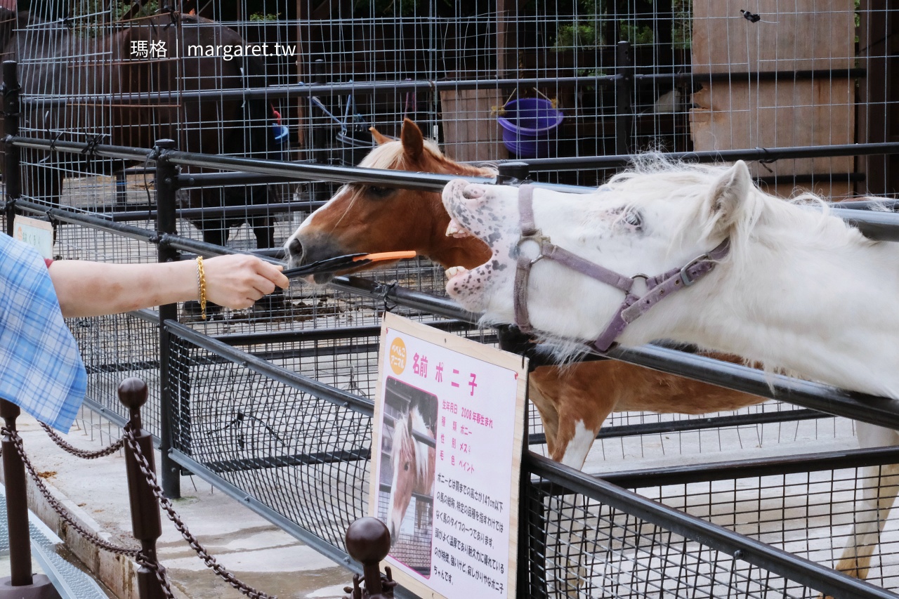 Bebenko牧場 羊兔馬 動物互動區