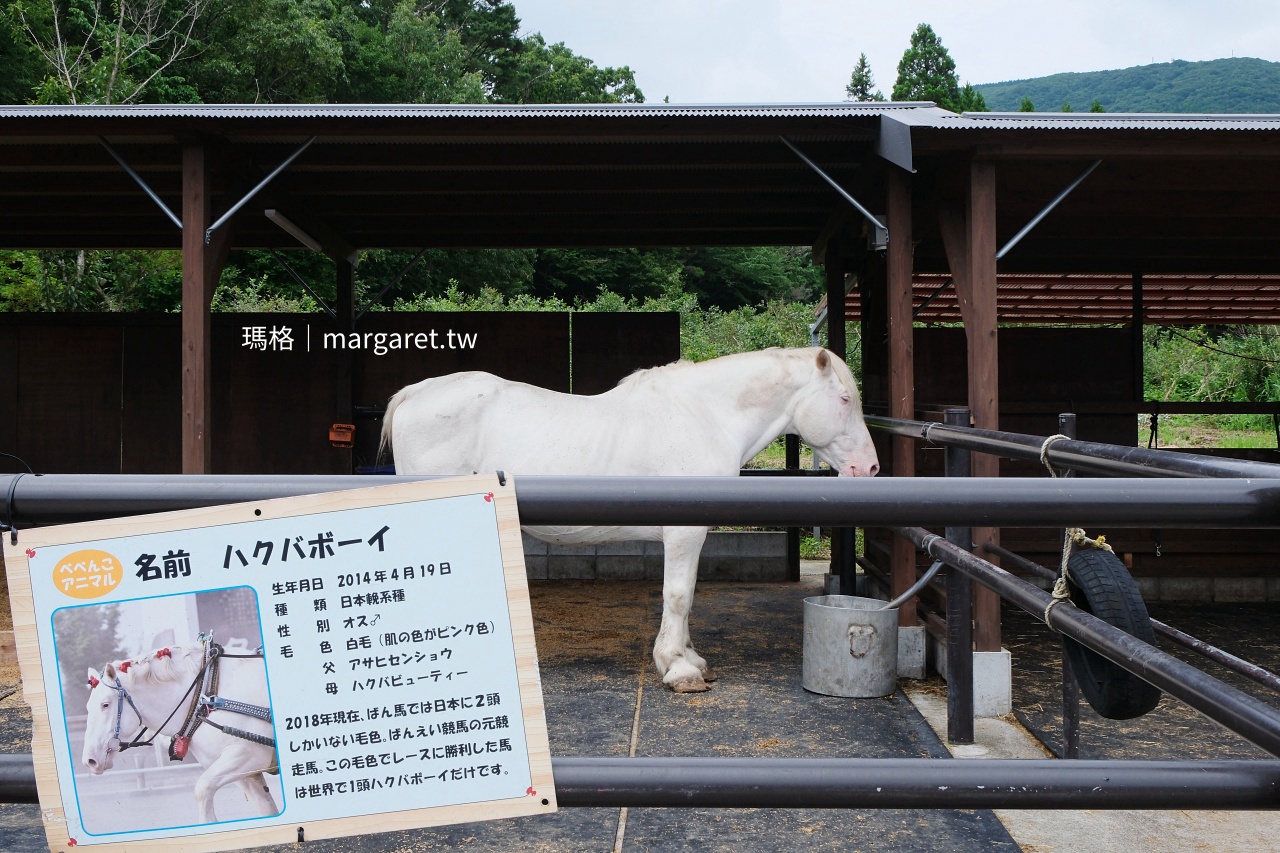 Bebenko牧場 白馬ハクバボーイ 明星動物