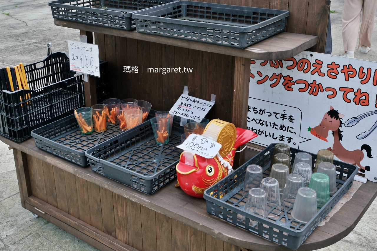Bebenko牧場 動物餵食區 遊客體驗