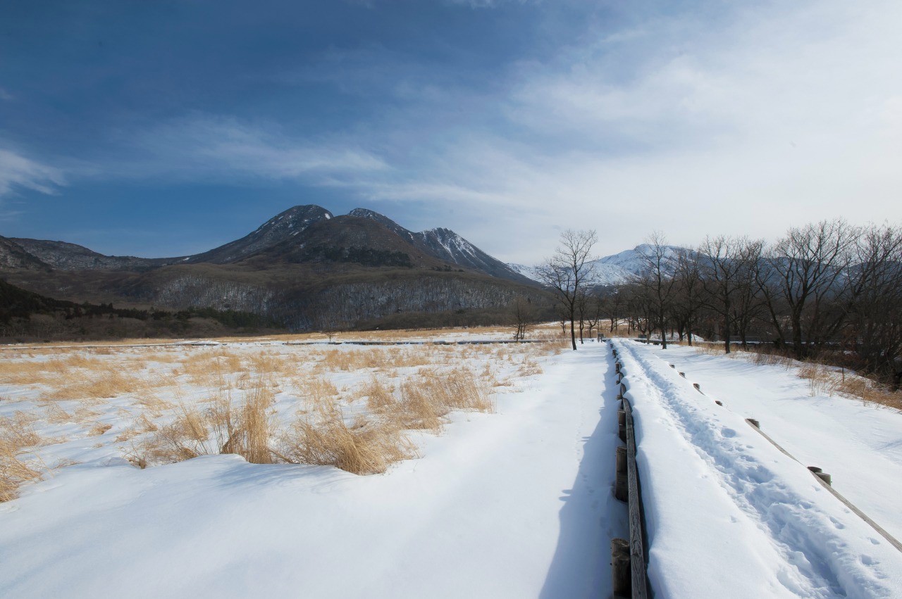大分九重町蓼原濕原 秋冬草原與九重山景
