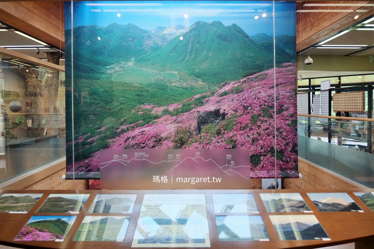 長者原遊客中心 深山霧島杜鵑 山景圖展示