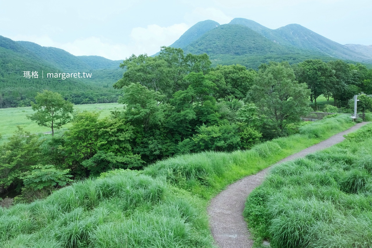 蓼原濕原夏季景色 平緩木棧道穿過綠色草原