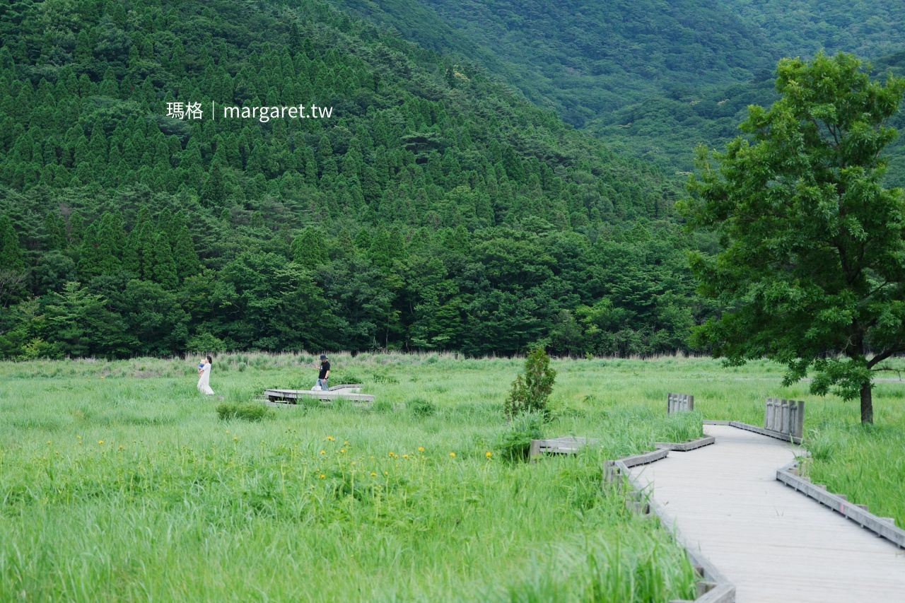 飯田高原蓼原濕原 夏日草木與遠方九重連山