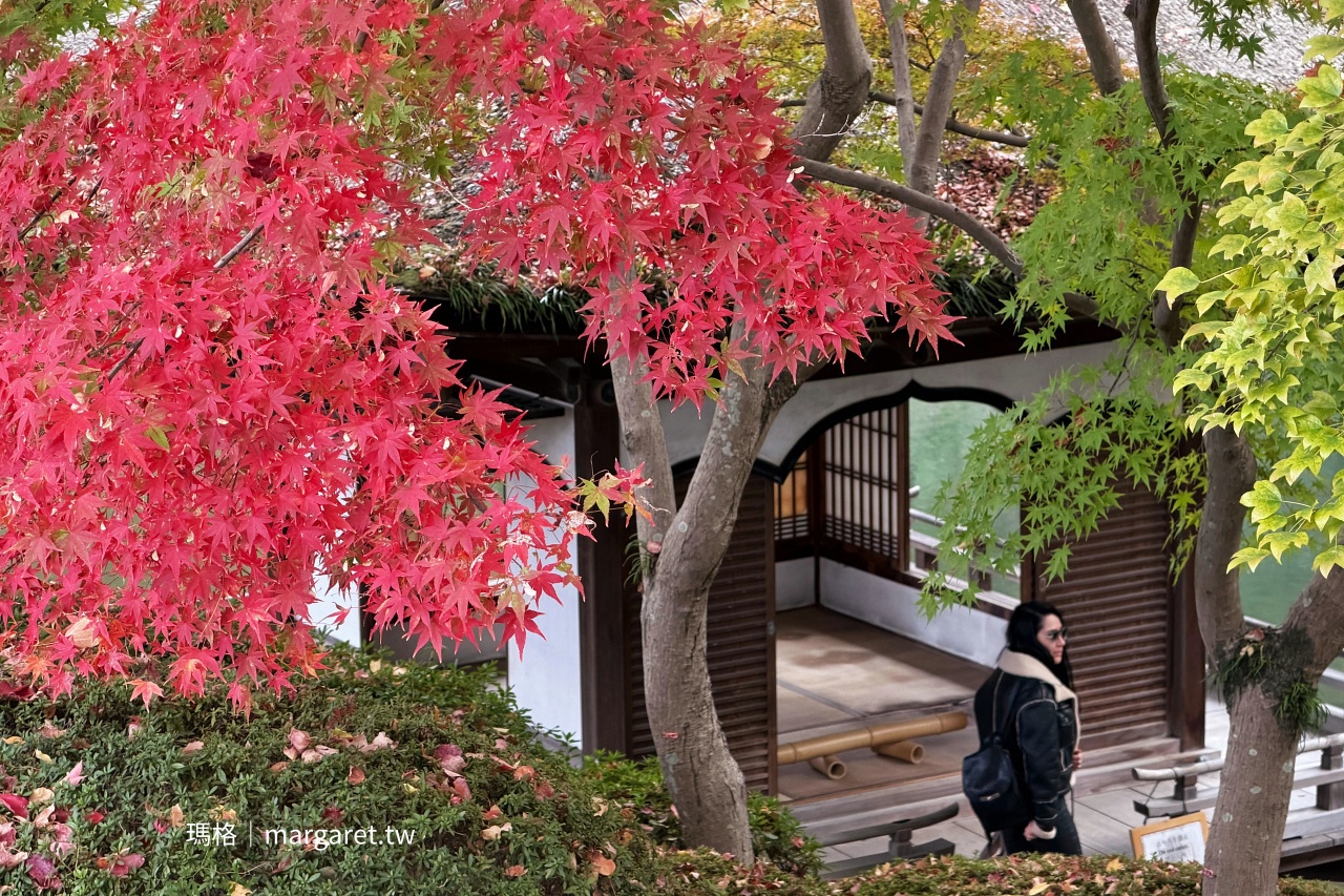 和歌山城。西之丸庭園浪漫紅葉季｜日本百名城、三大連立式平山城之一