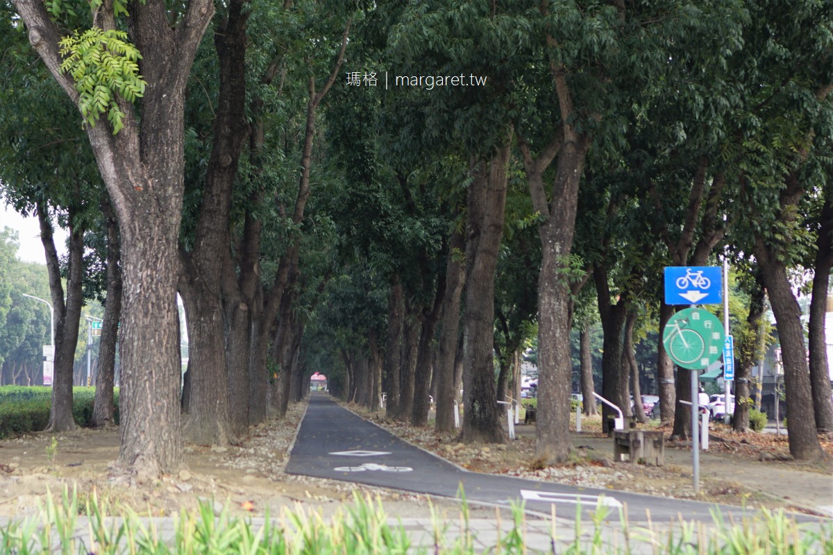 世賢自行車道。嘉義市最美道路｜城市裡的森林鐵馬遊