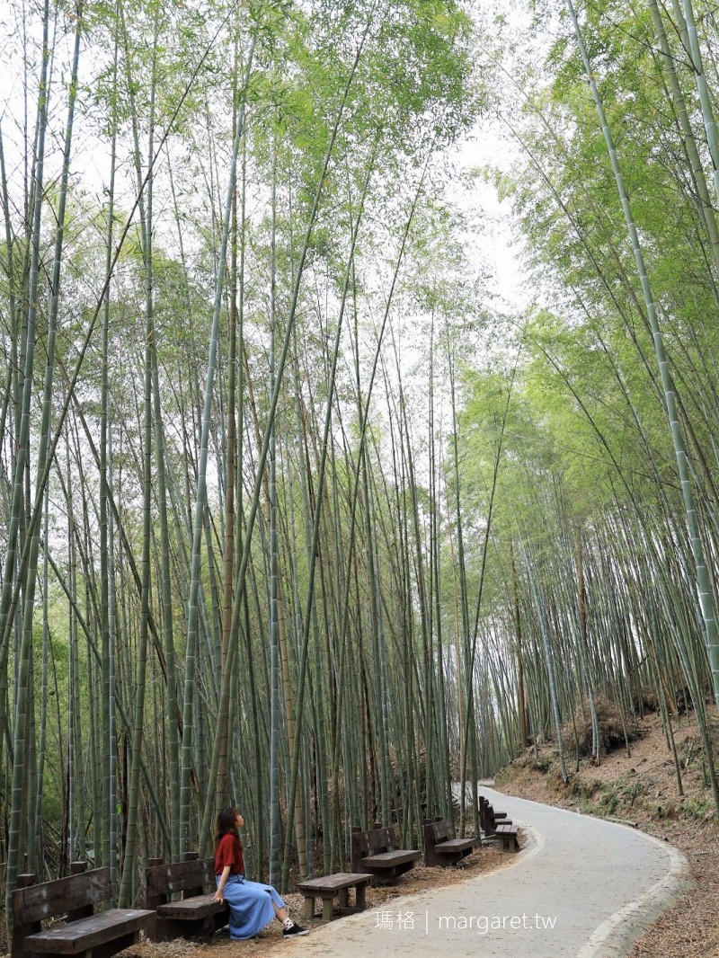 瑞里綠色隧道。梅山竹林幽徑｜不須比擬京都嵐山，有自成一格的美
