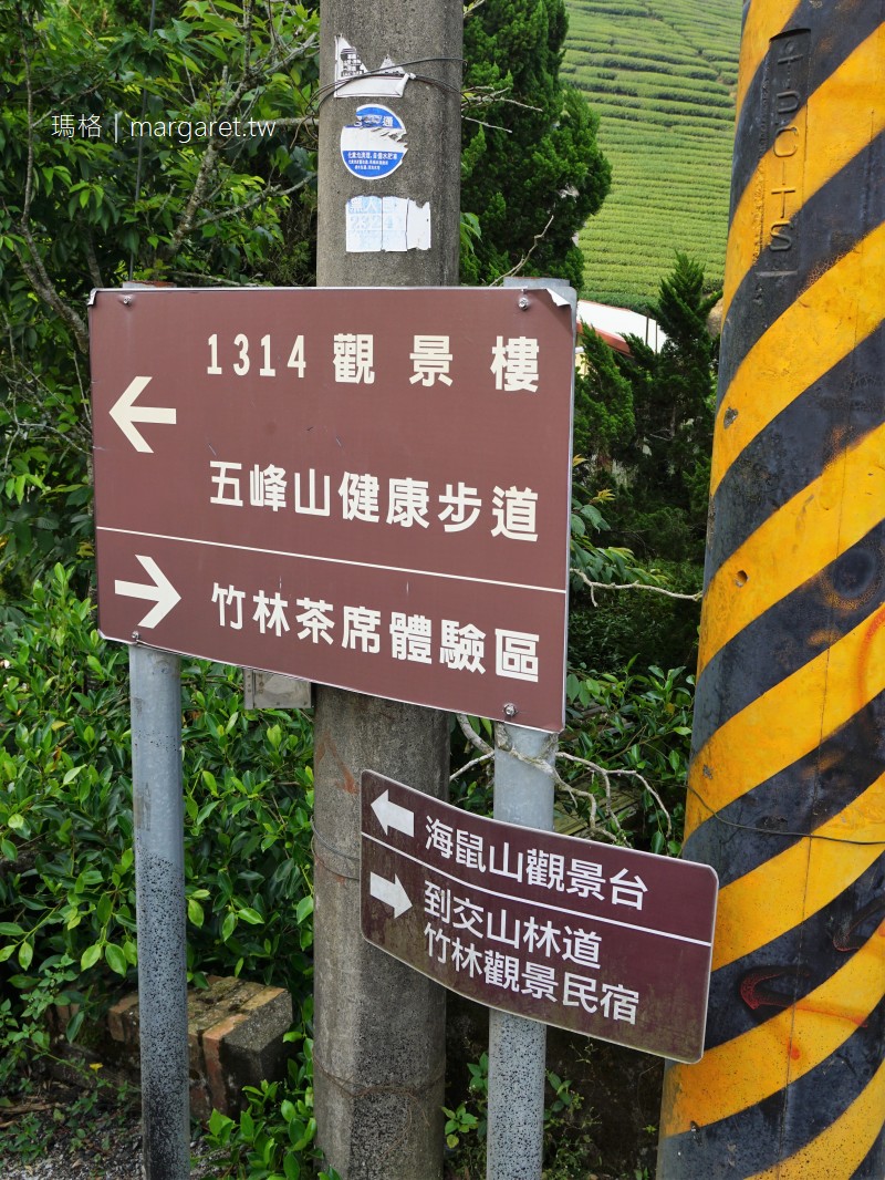 1314觀景台。夢幻波浪狀茶園｜眼尖才能看見的台灣形狀茶園。遊覽車到不了的嘉義梅山私房景點