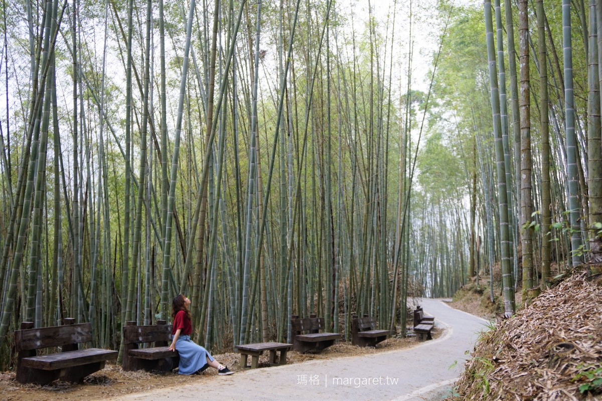 瑞里綠色隧道。梅山竹林幽徑｜不須比擬京都嵐山，有自成一格的美
