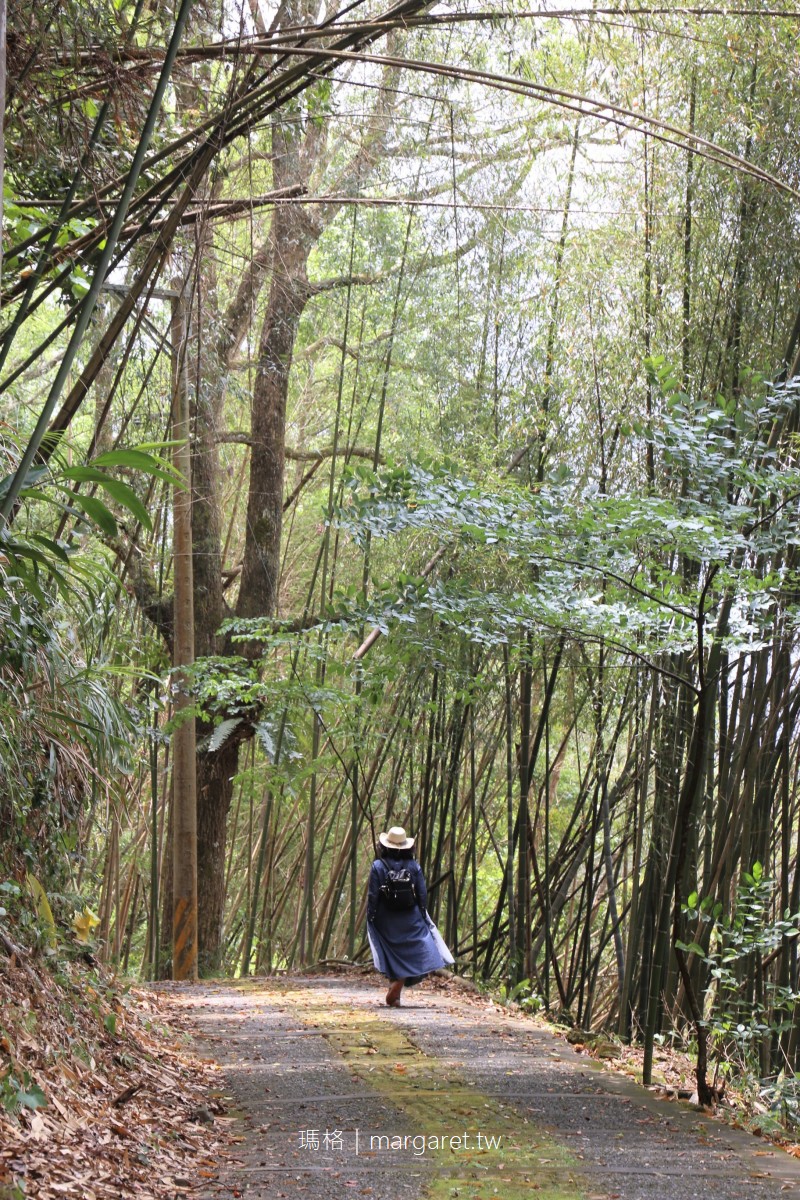 特富野步道。樟樹巨木群｜串聯達邦部落、特富野部落的平緩林道