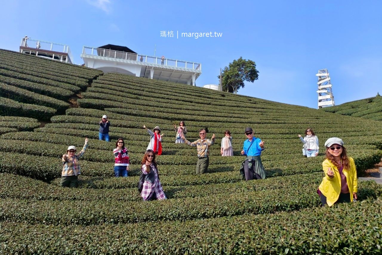 1314觀景台。夢幻波浪狀茶園｜眼尖才能看見的台灣形狀茶園。遊覽車到不了的嘉義梅山私房景點