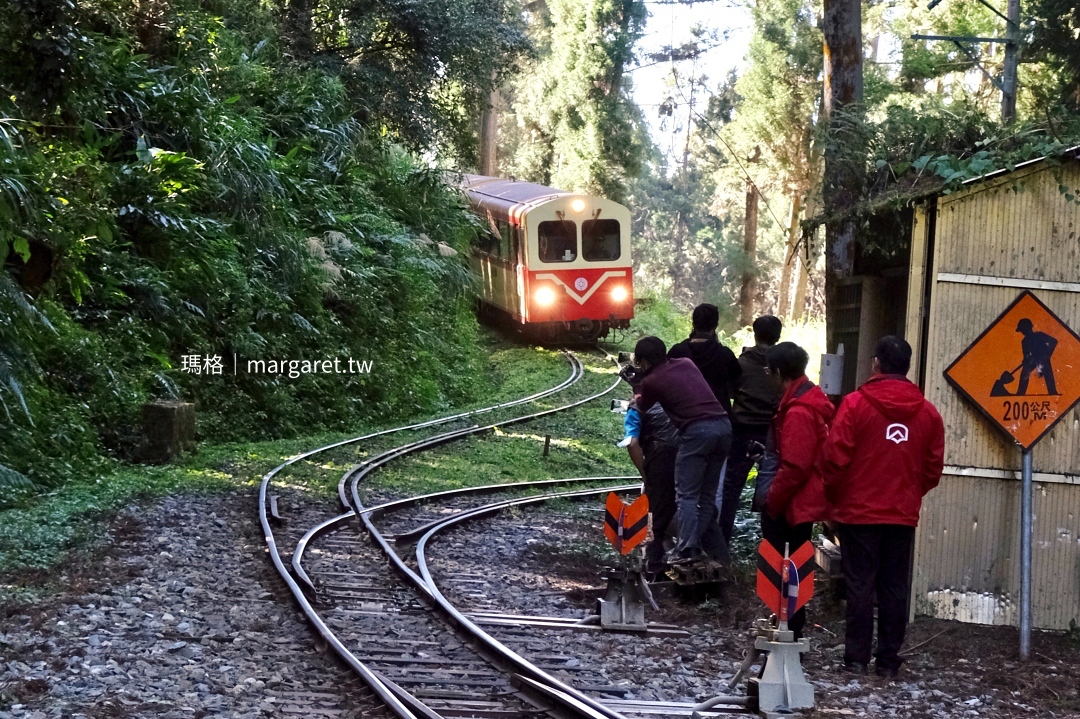 阿里山林鐵隱世車站。第一分道｜體驗火車碰壁、之字型鐵道奇妙旅程