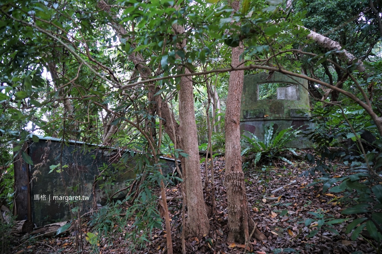 芝山岩。山小卻不能小看｜台北最大張的合約書、最老的300年樟樹