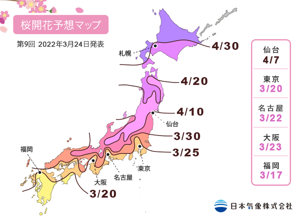 東京賞櫻10選 22日本賞櫻情報 花見野餐 夜櫻食尚 更新 瑪格 圖寫生活