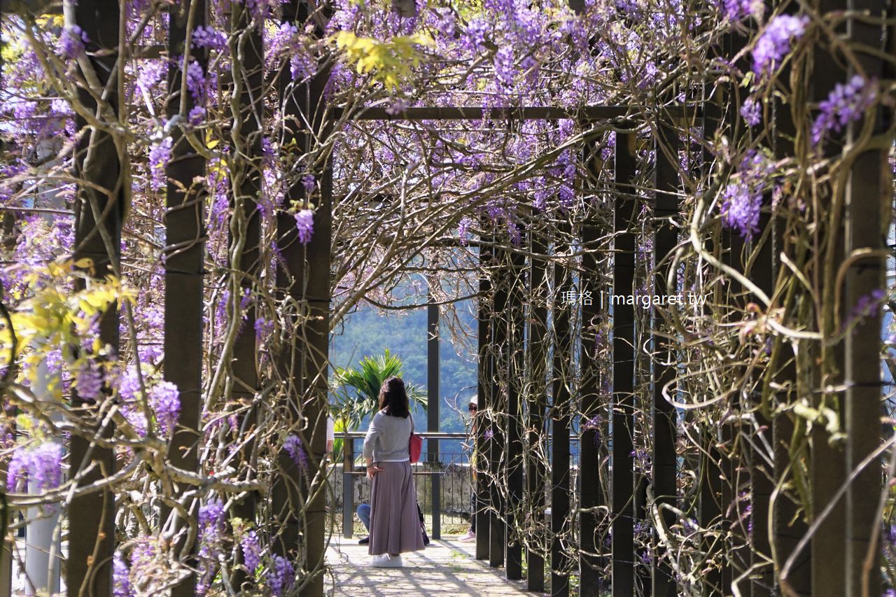 瑞里茶壺民宿。紫藤花廊隧道｜每年三月綻放紫瀑美景