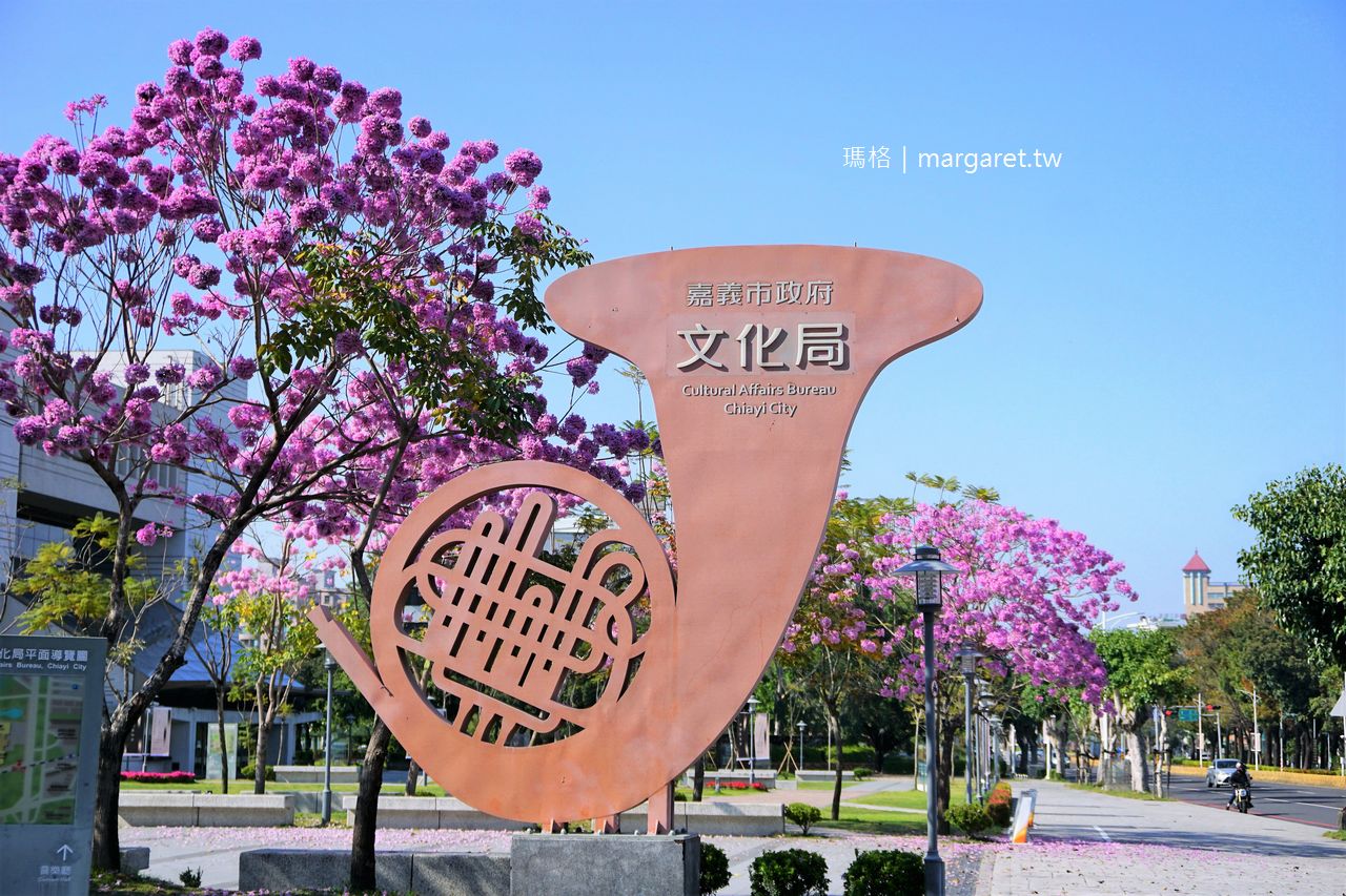 嘉義市立文化中心。3月紫花風鈴木盛開｜諸羅八景「檜沼垂綸」所在地