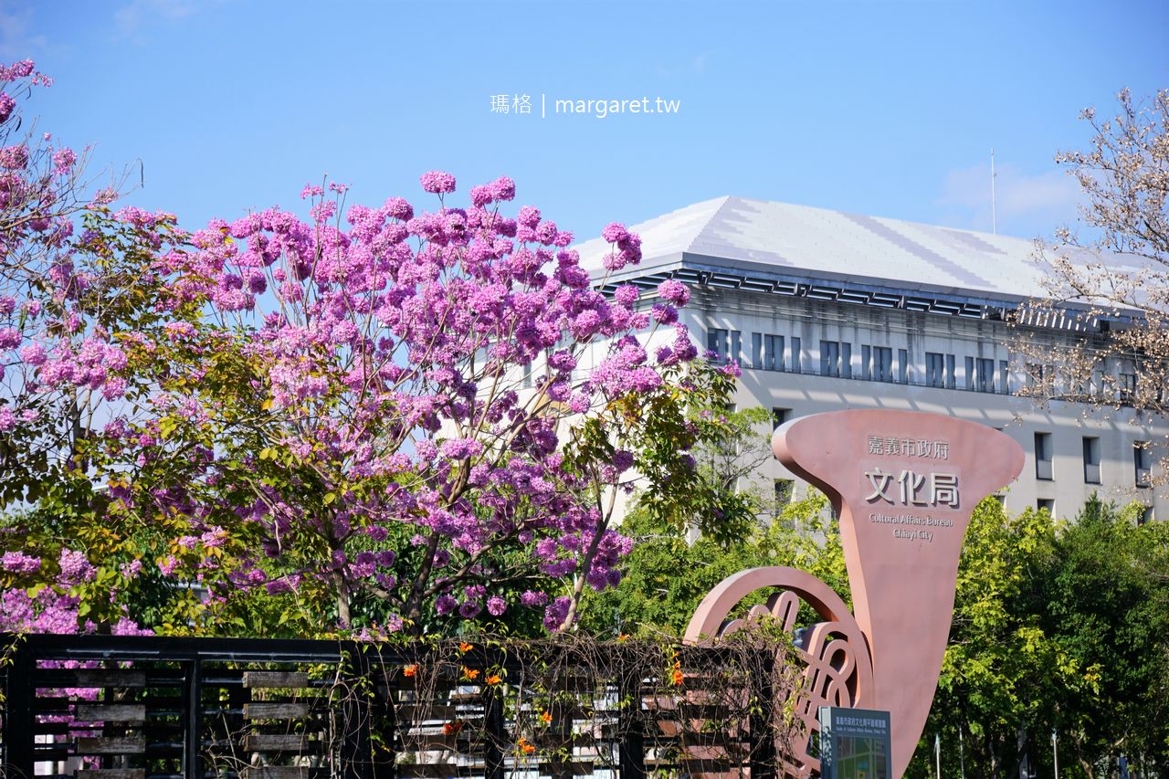 嘉義市立文化中心。3月紫花風鈴木盛開｜諸羅八景「檜沼垂綸」所在地