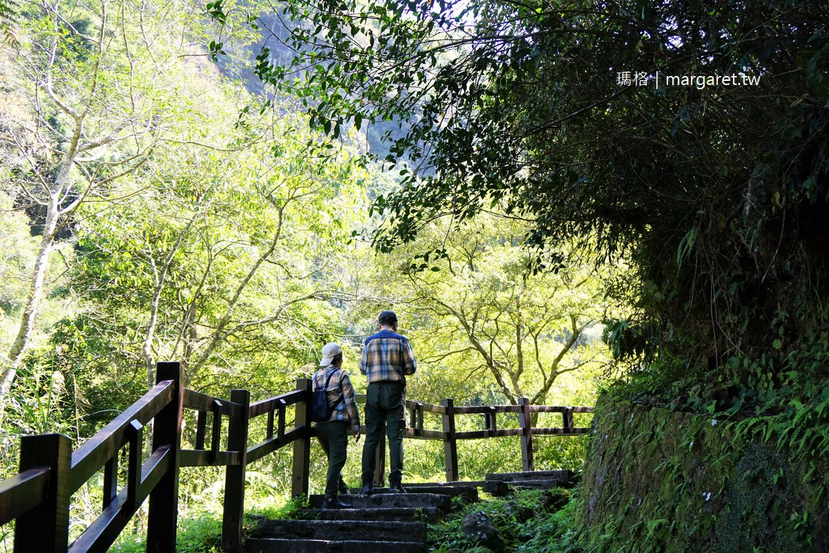 圓潭自然生態園區。三座瀑布三條步道｜阿里山國家風景區親山近水景點