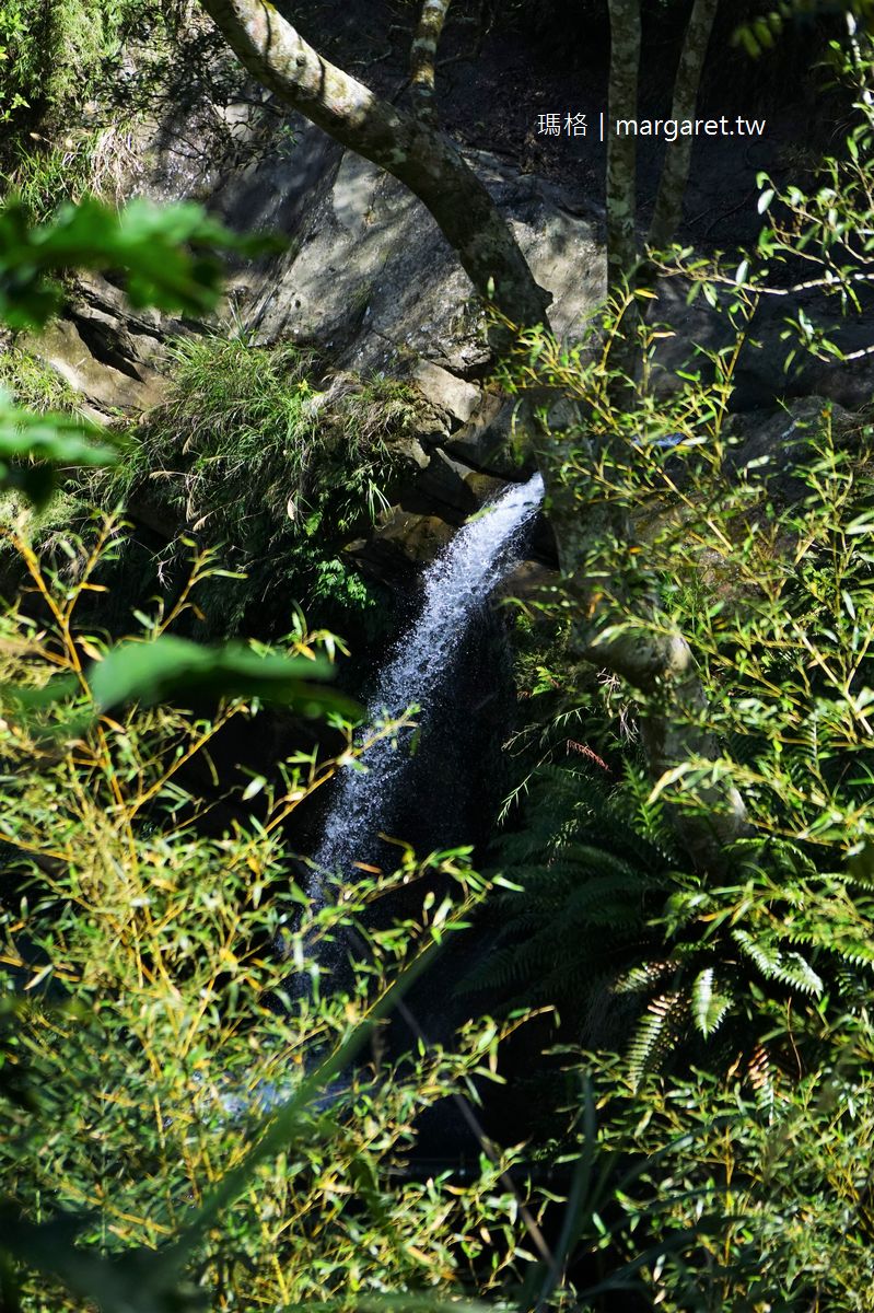 圓潭自然生態園區。三座瀑布三條步道｜阿里山國家風景區親山近水景點