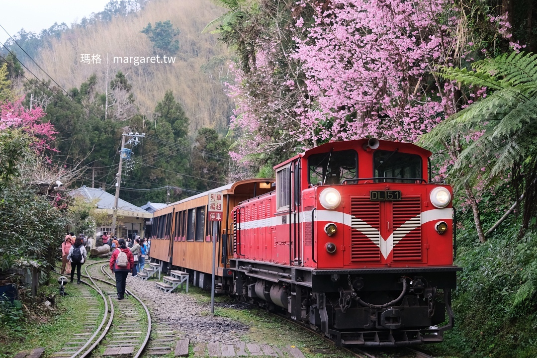 十字路車站。阿里山線復駛終點站｜最接近阿里山公路的森鐵小站