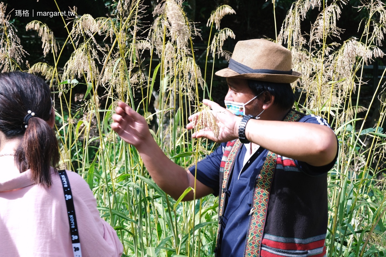 卡那歲工作室。山林食育體驗｜台東武陵部落最遠的水稻田