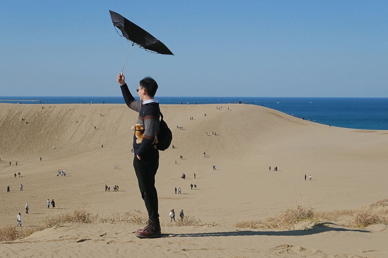 鳥取砂丘。晝夜絕景｜山陰海岸世界地質公園(交通建議)