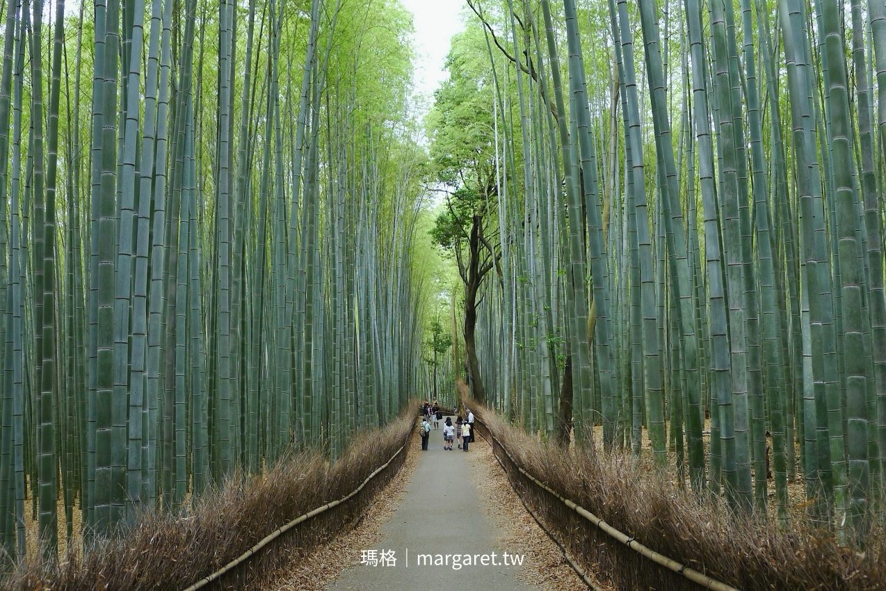 京都嵐山竹林小徑｜《藝伎回憶錄》電影場景，日本音風景100選