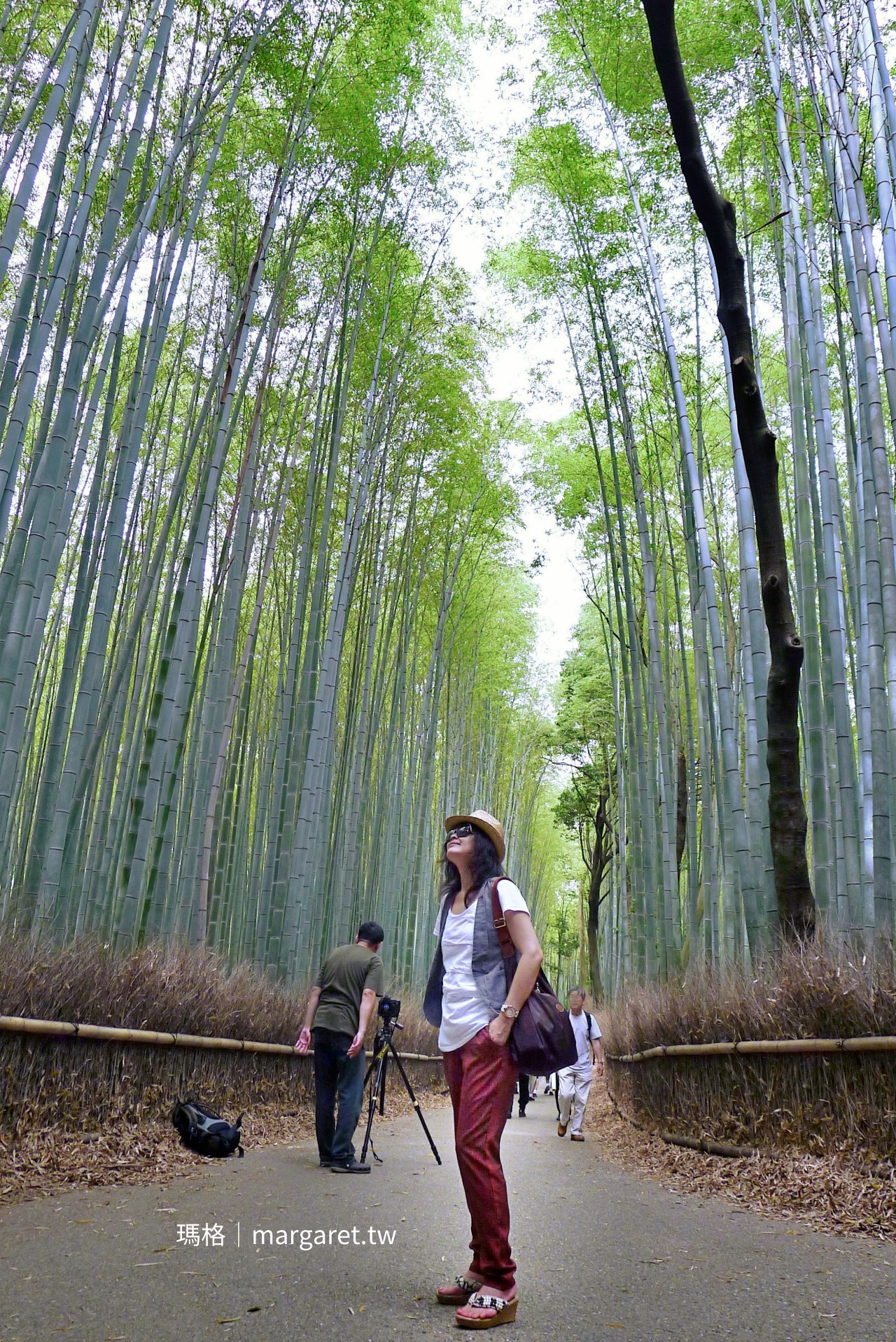 2012年初訪京都嵐山拍攝的竹林小徑與紀念照