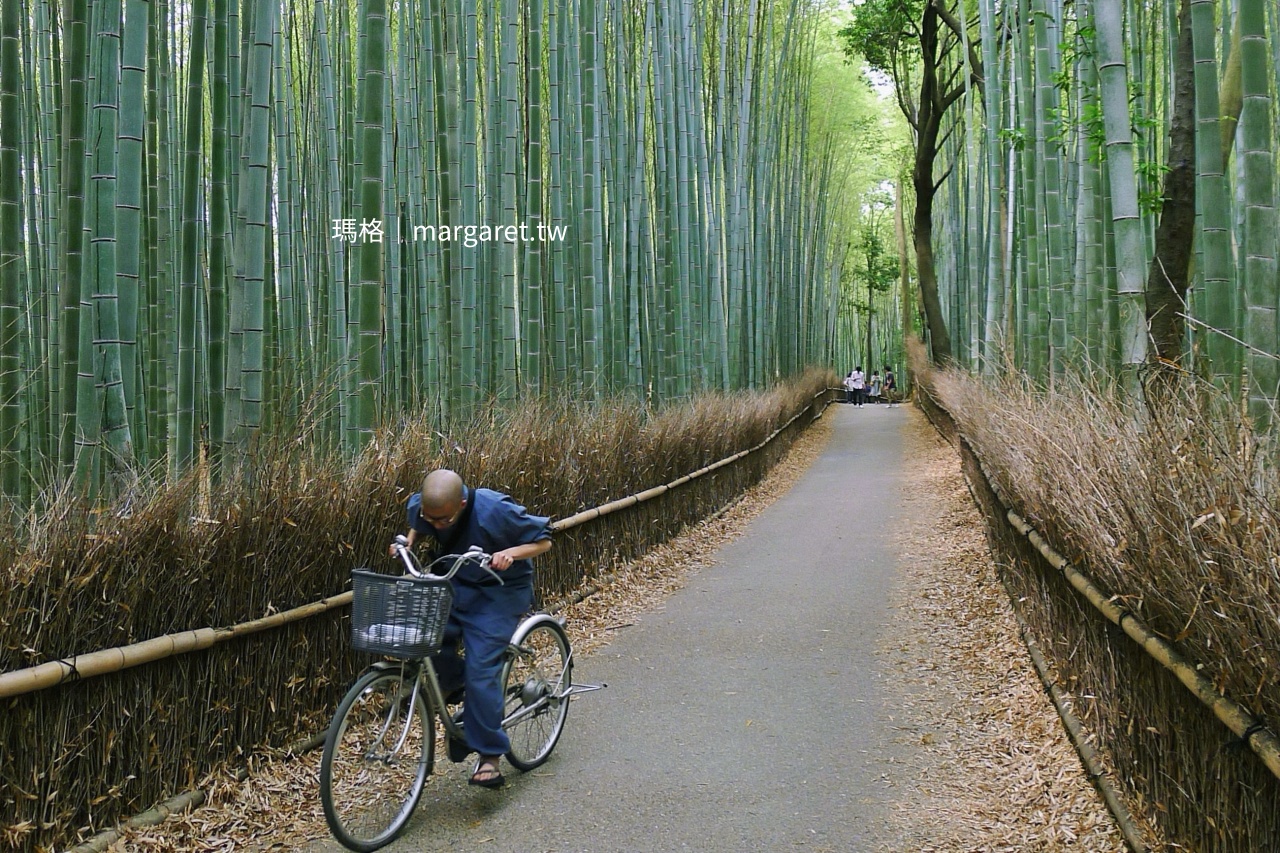 京都嵯峨野竹林小徑 一位小僧騎單車穿越竹林
