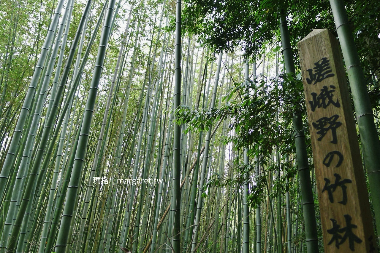 京都嵐山嵯峨野竹林小徑 竹林步道與沿途景色