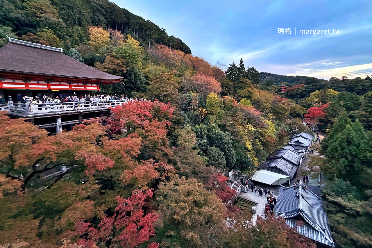 京都清水寺。壯麗的清水舞台｜日本國寶 x 世界文化遺產｜2025紅葉即時報