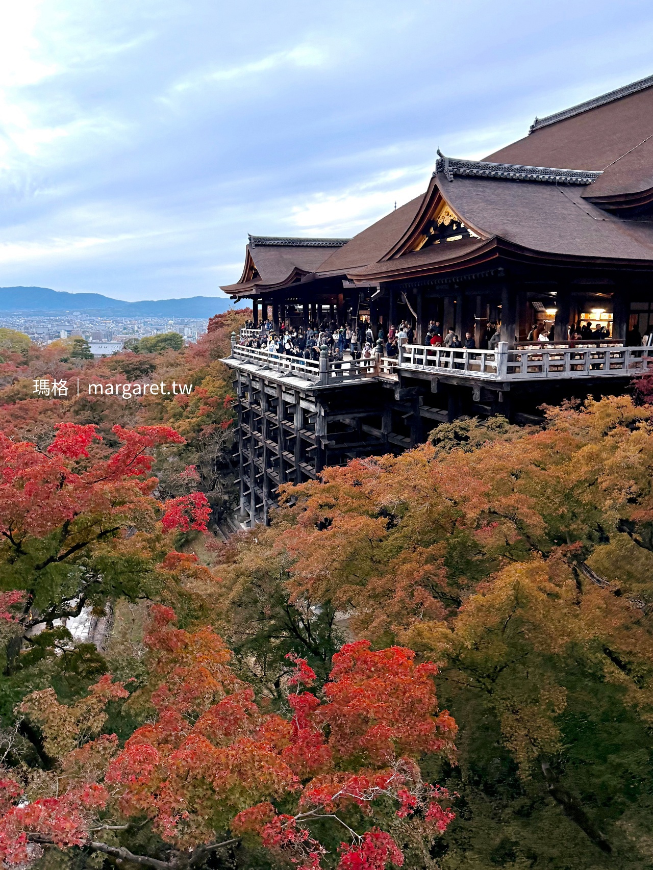 京都清水寺。壯麗的清水舞台｜日本國寶 x 世界文化遺產｜2025紅葉即時報