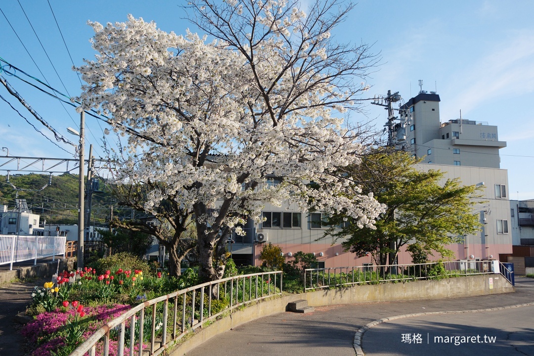 淺蟲溫泉旅館。宿屋椿Yadoya Tsubaki｜晚餐雖然吃便當卻還不錯喔