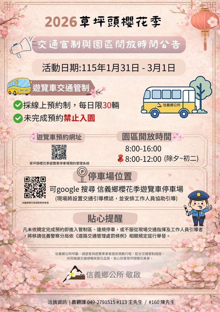 2026草坪頭櫻花季開跑。1/31-3/1｜茶園、李花、油菜花、玉山同框之美