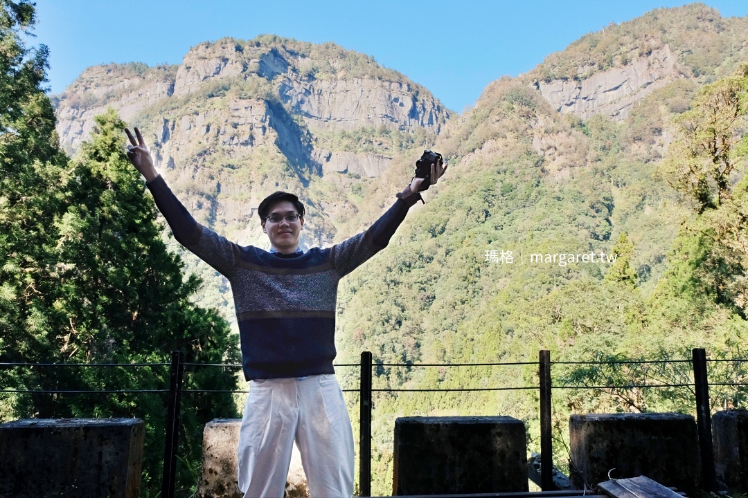 阿里山林鐵特色遊程｜賞楓賞櫻蒸汽主題列車、3年5票禮賓列車、福森號檜木主題列車