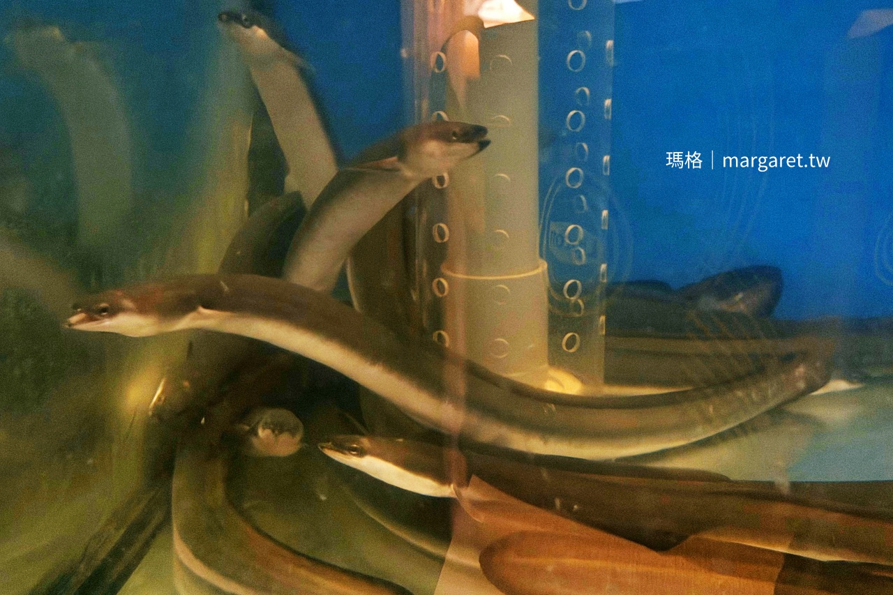 濱松屋：台北鰻魚名店｜日料老店復出重現七條通