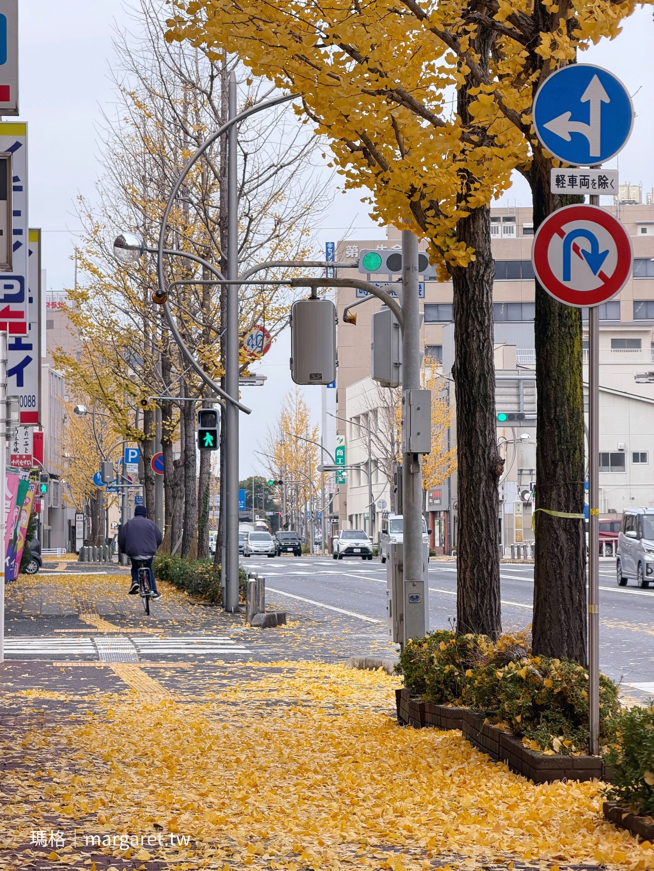 鳥取米子站。秋季銀杏大道｜飛天火車、米子合掌像