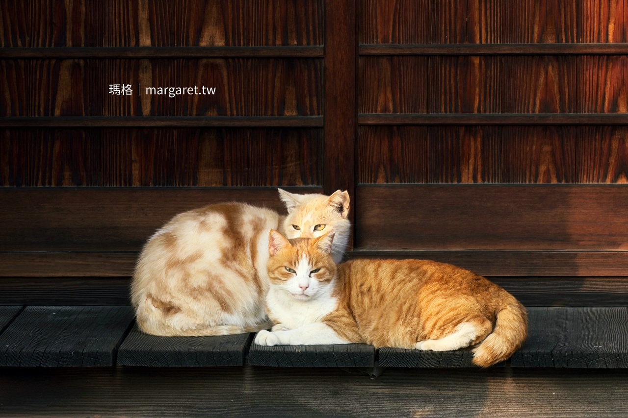 豐島旅遊。美食景點。交通住宿｜瀨戶內海湧泉之島(持續更新)