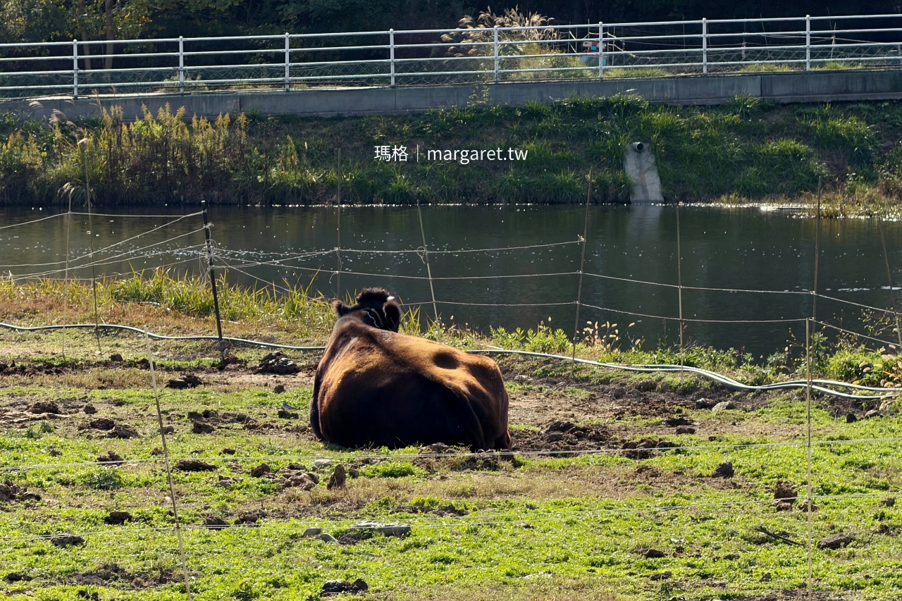 豐島旅遊。美食景點。交通住宿|瀨戶內海湧泉之島(持續更新) @瑪格。圖寫生活 豐島旅遊。美食景點。交通住宿|瀨戶內海湧泉之島(持續更新)