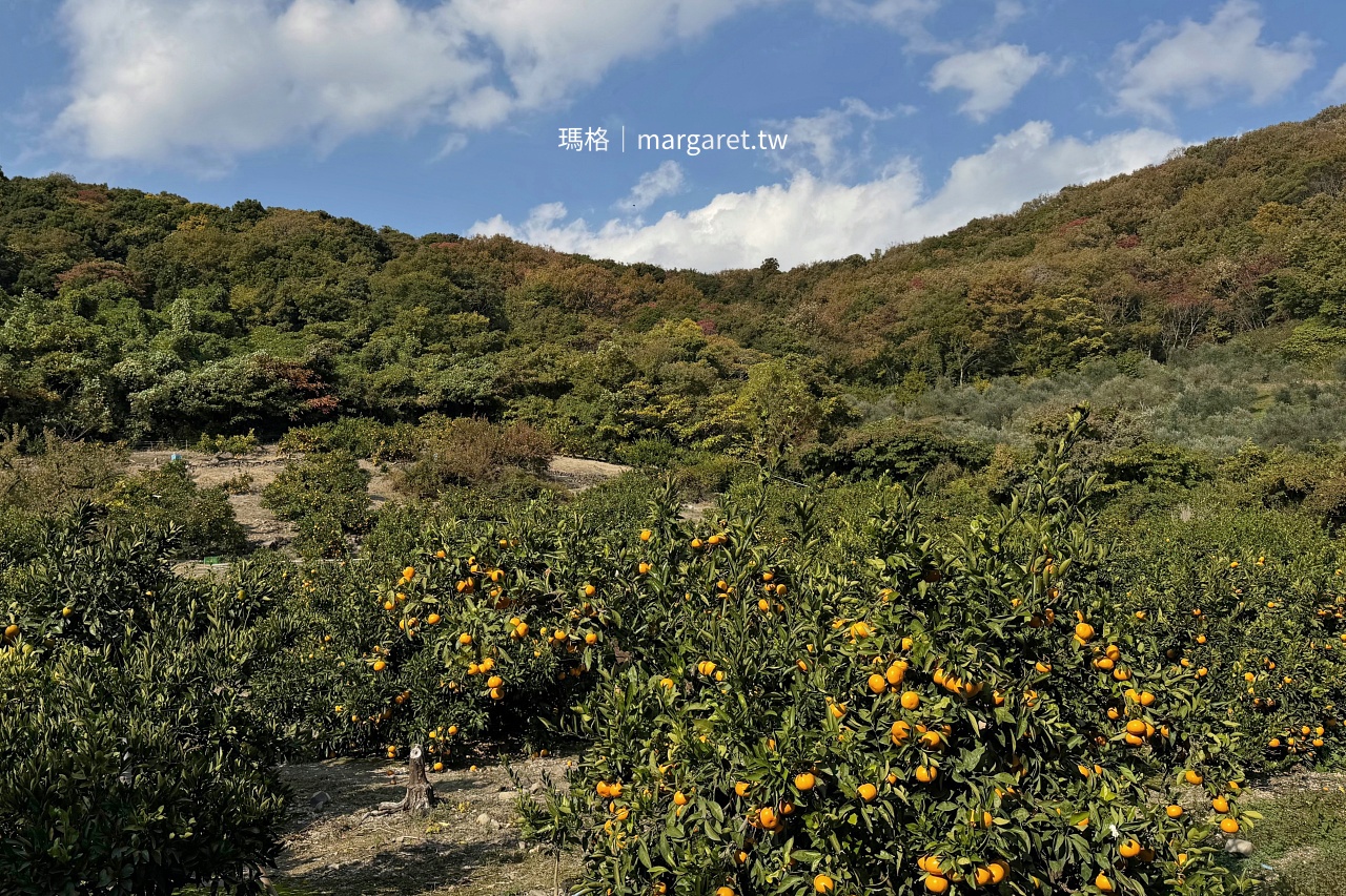 豐島旅遊。美食景點。交通住宿｜瀨戶內海湧泉之島(持續更新)