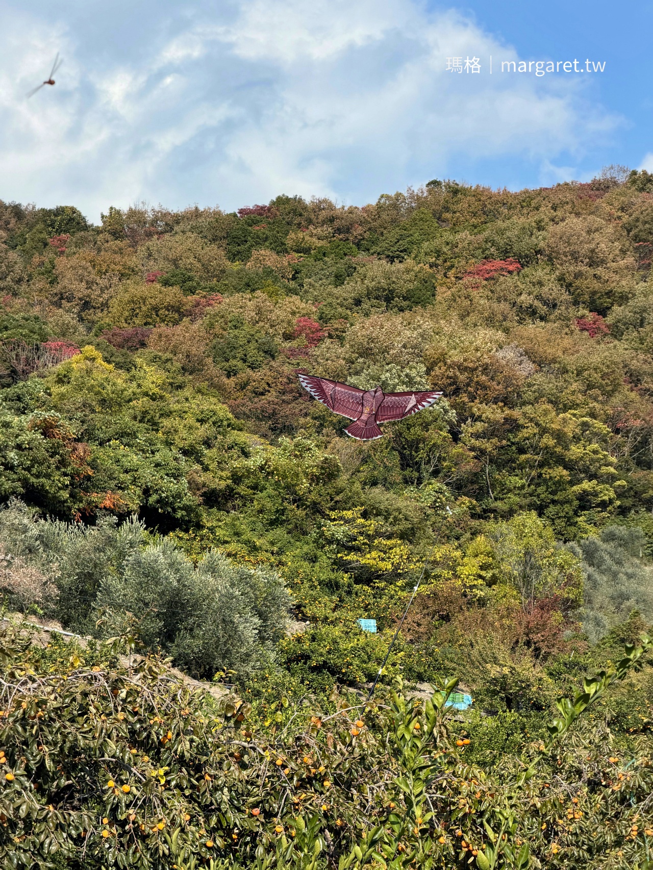 豐島旅遊。美食景點。交通住宿｜瀨戶內海湧泉之島(持續更新)
