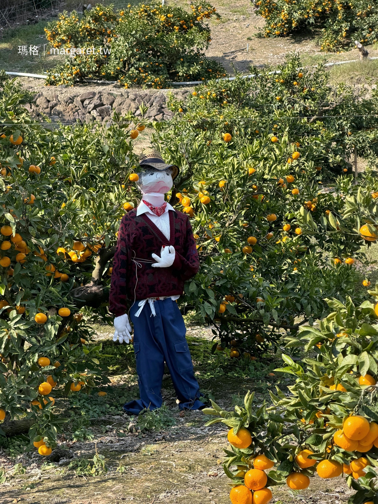 豐島旅遊。美食景點。交通住宿|瀨戶內海湧泉之島(持續更新) @瑪格。圖寫生活 豐島旅遊。美食景點。交通住宿|瀨戶內海湧泉之島(持續更新)