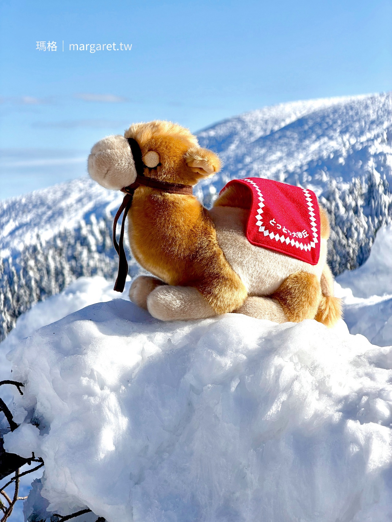 鳥取砂丘駱駝絨毛玩偶：幸福的極樂駱駝。