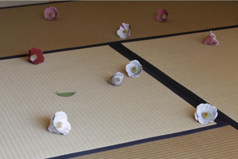 直島家計劃 Gokaisho圍棋會所｜不起眼的山茶花有什麼名堂？