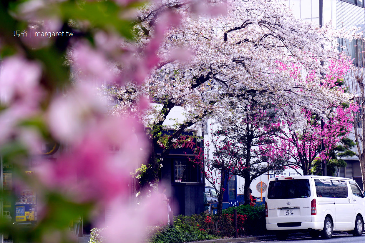 日本橋。人形町｜路過櫻花盛開的日常