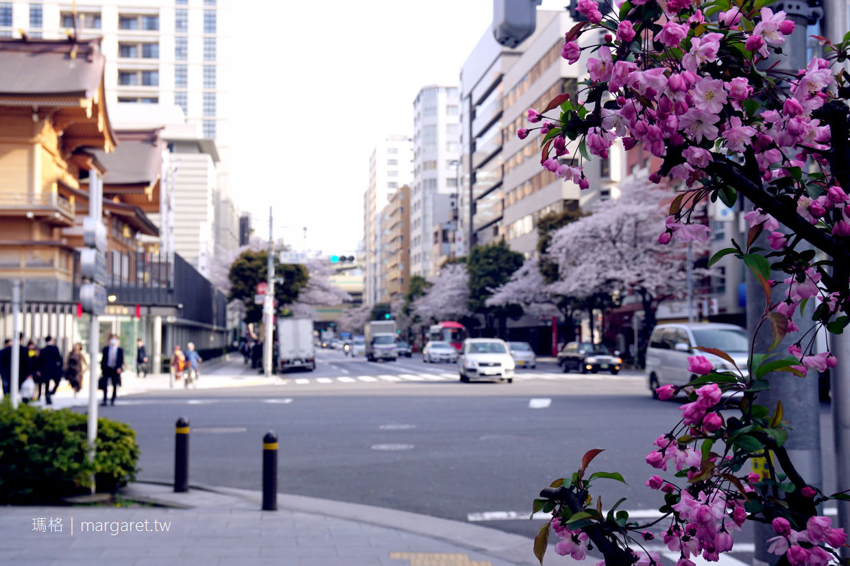 日本橋。人形町｜路過櫻花盛開的日常