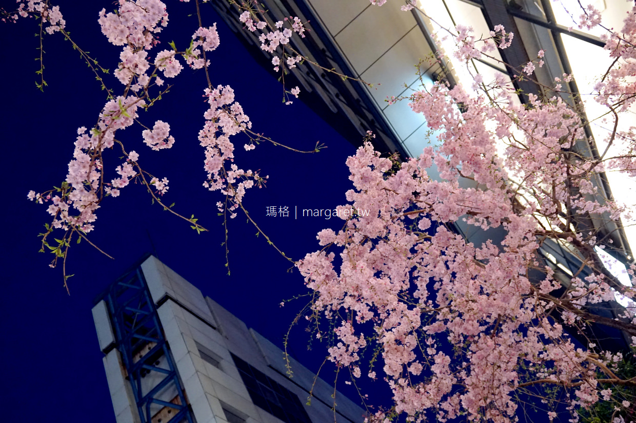 中目黑櫻花祭。東京賞櫻嘉年華｜一起在櫻花樹下買醉吧
