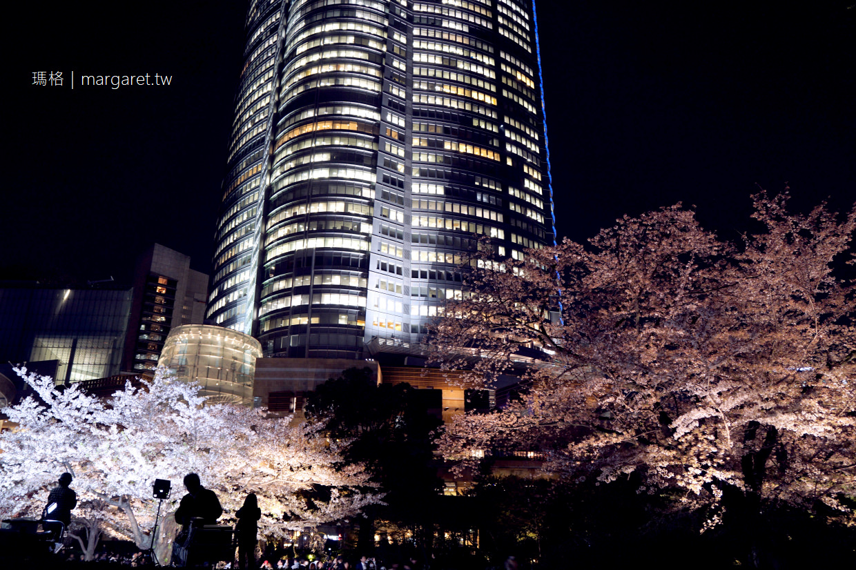 六本木之丘。毛利庭園夜櫻｜櫻花、東京鐵塔、金色之心同框