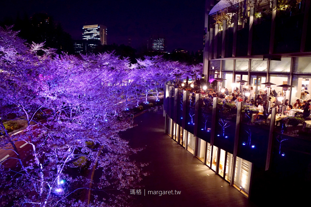 六本木夜櫻。Midtown Blossom｜在櫻花樹下喝粉紅香檳。東京最時髦的賞櫻盛事